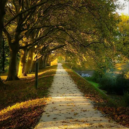 City Apartments Gorinchem *